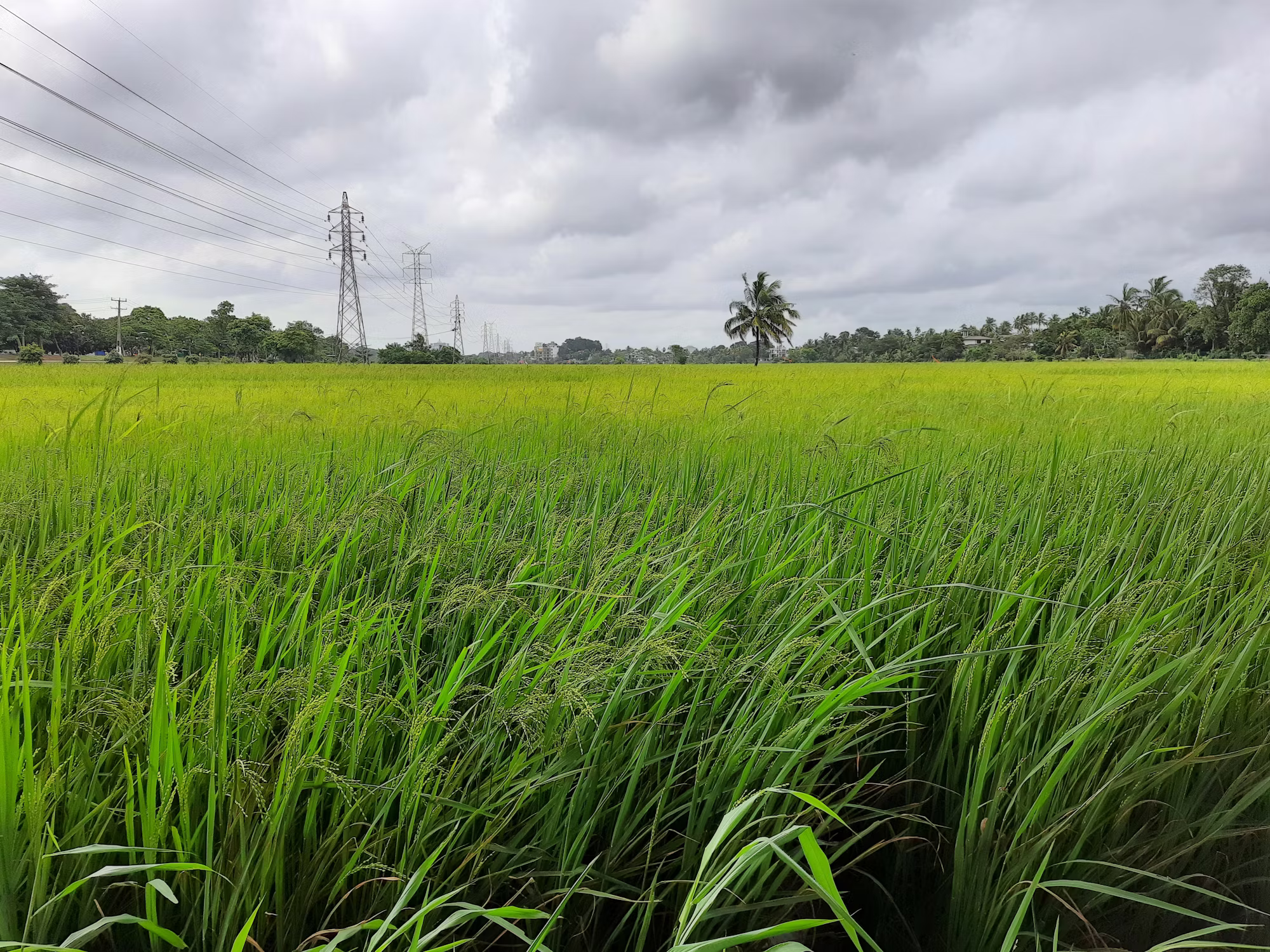 The Art of Travel: Embracing Different Styles for Enriching Experiences